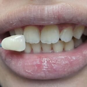 WhatsApp Image 2025-08-11 at 1.01