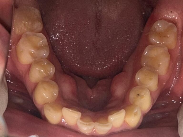 WhatsApp Image 2025-08-11 at 1.03